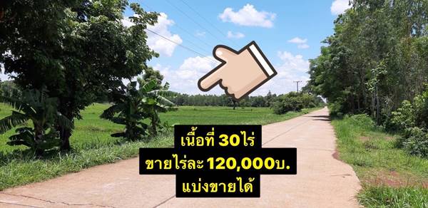 ขายที่ดินเปล่า ต.หนองบัวสิม อ.คำตากล้า จ.สกลนคร 30 ไร่ หมาะสำหรับสร้างบ้านอยู่อาศัย